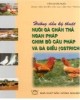 Ebook Hướng dẫn kỹ thuật nuôi gà chăn thả ngan Pháp chim bồ câu Pháp và đà điểu (Ostrich) - NXB Nông nghiệp: Phần 2