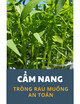 Cẩm nang Trồng rau muống nước an toàn