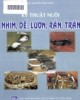 Ebook Kỹ thuật nuôi nhím, dế, lươn, rắn, trăn: Phần 1
