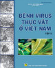 Ebook Bệnh virus thực vật ở Việt Nam (Tập 2): Phần 1