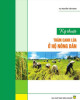 Ebook Kỹ thuật thâm canh lúa ở hộ nông dân: Phần 2