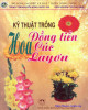 Ebook Kỹ thuật trồng hoa đồng tiền, cúc, layơn: Phần 2